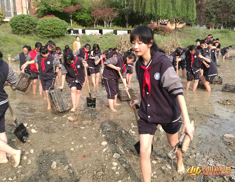 佳能镜头有响声久久www色情成人免费观看，探索摄影设备的神秘声音背后的故事