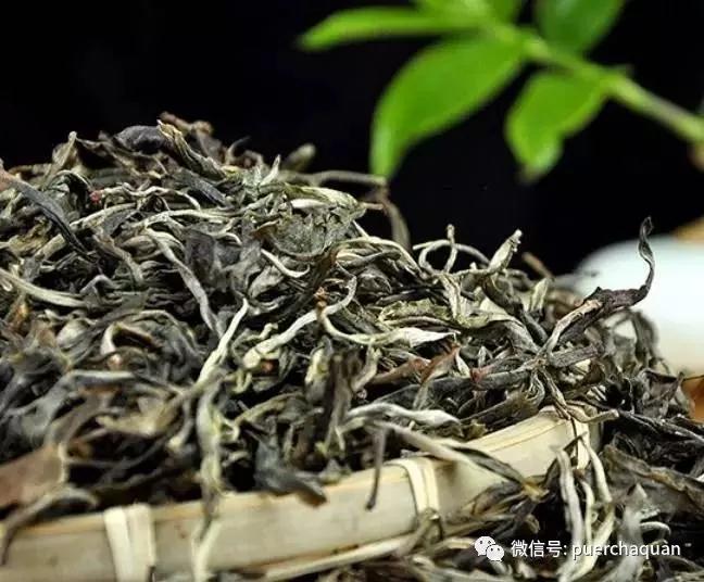 马卡龙欧美牲交黑粗硬大在线视频，甜点界的时尚精灵，色彩与口感的奇妙碰撞
